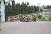20020616115414-DCP_0654.JPG