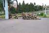 20020616115435-DCP_0655.JPG