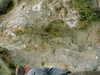 DSCF0014.JPG