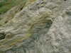DSCF0016.JPG