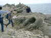 DSCF0032.JPG