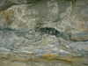 DSCF0040.JPG