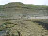 DSCF0042.JPG