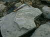 DSCF0044.JPG