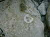 DSCF0045.JPG