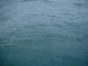 DSCF0053.JPG