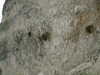 DSCF0063.JPG