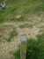 DSCF0065.JPG