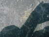 DSCF0082.JPG