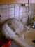 DSCF0099.JPG