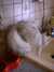 DSCF0100.JPG