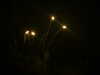 DSCF0108.JPG
