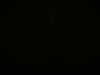 DSCF0110.JPG
