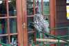 DCP_0773.JPG
