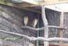 DCP_0789.JPG