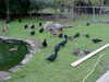 NVC-035F.JPG