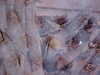 NVC-043F.JPG