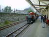 DSCF0002.JPG