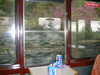 DSCF0010.JPG