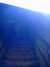 DSCF0018.JPG