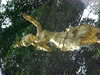 NVC-167F.JPG