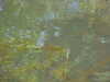 NVC-194F.JPG