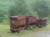 NVC-271F.JPG