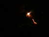 DSCF0030.JPG