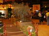 20030330133732-PICT0011.JPG