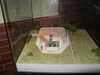 20030419105303-PICT0064.JPG