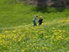 2003-04-21:Hogg
