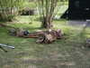 PICT0056.JPG