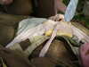 PICT0061.JPG