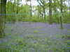 2003-05-10:Tag at Popham
