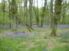 DSCF0002.JPG