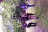 20030524170543-DCP_1376.JPG