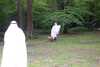20030524174206-DCP_1391.JPG