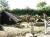 20030614155329-PICT0156.JPG
