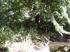 20030727154321-PICT0059.JPG