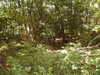 20030727154334-PICT0061.JPG
