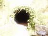20030727154736-PICT0070.JPG