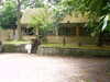 IMAG0145.JPG