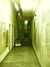 IMAG0205.JPG