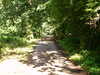 IMAG0224.JPG