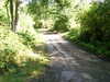 IMAG0225.JPG
