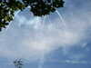 20030802130748-PICT0015.JPG