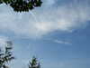 20030802131039-PICT0021.JPG