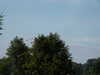 20030802131156-PICT0022.JPG