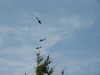 20030802132515-PICT0030.JPG