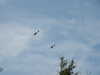 20030802132710-PICT0035.JPG